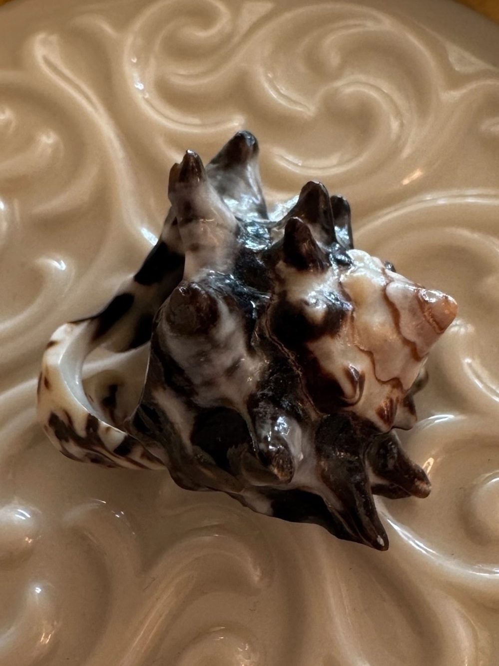 Handcrafted Sea Shell Statement Ring - Picture 3 of 6